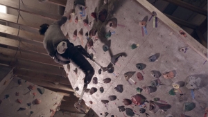 Image of Professor Hugh Herr climbing a rock wall