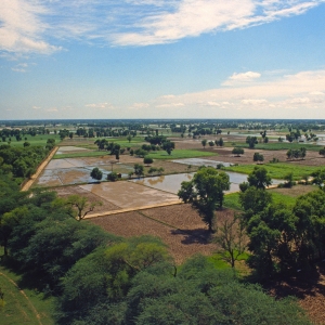 Irrigated plains of the Punjab province in Pakistan, viewed from a Mughal tower in Sheikhpura District. Photo: James Wescoat