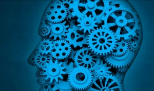 ok so thumbnail preview