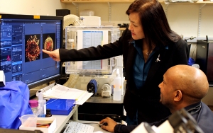 Picower Professor Li-Huei Tsai (standing), co-director of the Alana Down Syndrome Center, reviews data in the lab with Senior Alana Fellow Hiruy Meharena. Photo: David Orenstein