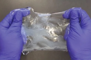 Stretchability of an ELASTicized human brain slab