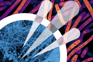 The K. Lisa Yang and Hock E. Tan Center for Molecular Therapeutics in Neuroscience logo