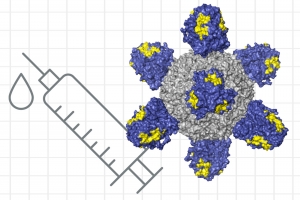 Researchers are working on strategies for designing a universal flu vaccine that could work against any flu strain.