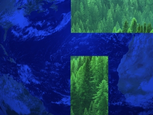 Blue and green abstract image.