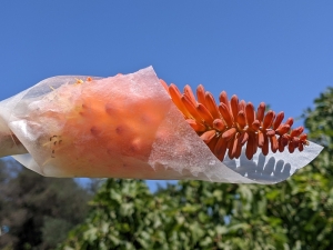 This sheet is an example of the low-carbon materials developed by Atacama for packaging applications. Material development is powered by robotics and AI, and accelerates the deployment of circular economy products around the globe.