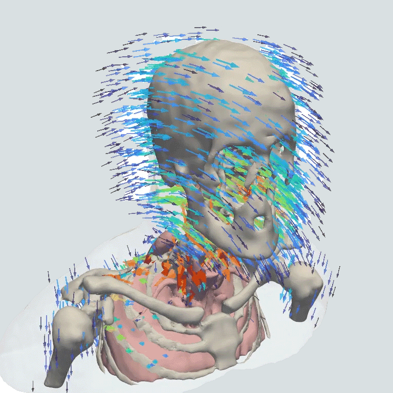 Medical Engineer Draws on Video Game Design to Aid Doctors in Surgery