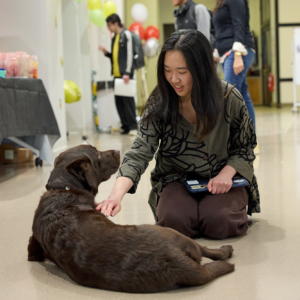 Student kneels down to pet an English labrador at the entrance to the Undergraduate Advising Center..